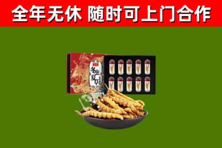 中卫烟酒回收冬虫夏草礼盒.jpg